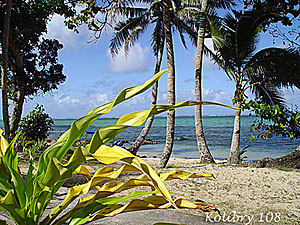 Острова Фиджи - пальмы, песок, море.