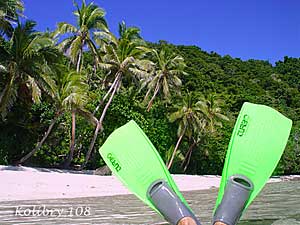 Фиджи - кокосовые пальмы