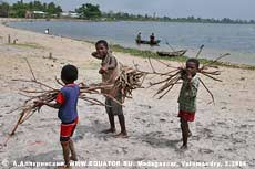 Мальчишки с хворостом. У канала Пангалан (Ватомандри). Мадагаскар.