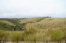 "Холмистая саванна" у побережья Восточного Мадагаскара (недалеко пос. Брикавиль)